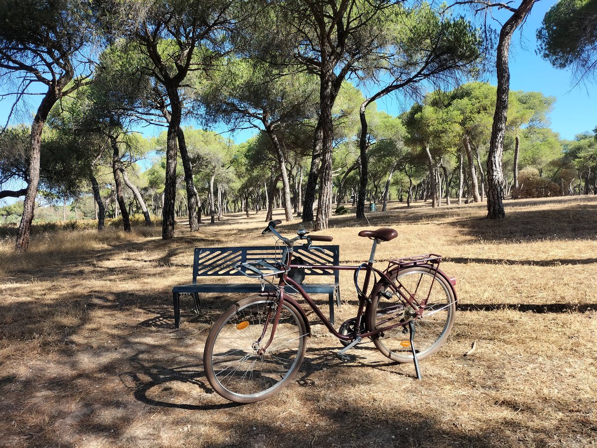 torrefrancoivan's tweet image. 🧘🏽‍♂️