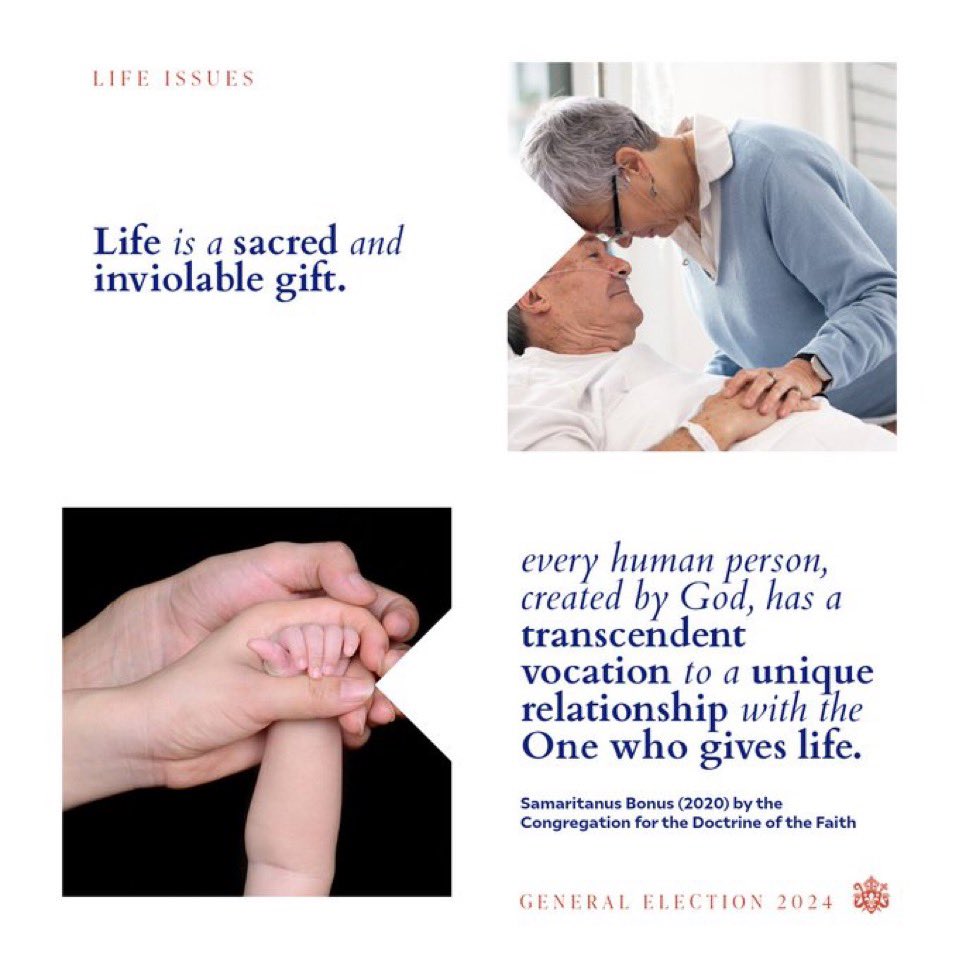 ArchbishopEamon's tweet photo. #DayforLife

The #DayForLife this Sunday promotes human dignity at every age and stage of life. Do your candidates support policies that support the most vulnerable? #Election2024 https://t.co/ULyfSlRJYW