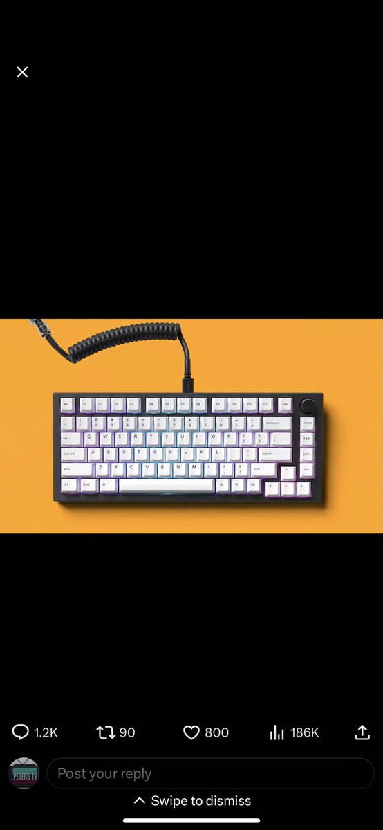 RealPetersTV's tweet photo. @Glorious I also did it https://t.co/yZn6G1RIOA