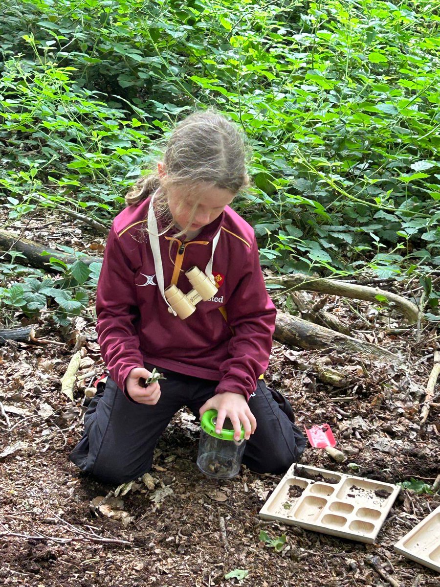 felstedprep's tweet photo. Year 3 discovering the magic of forest school.
We're nurturing young minds through immersive experiences, listening to nature's whispers & watching wonder unfold #felsted #HolisticLearning https://t.co/N2tXaBHBCa