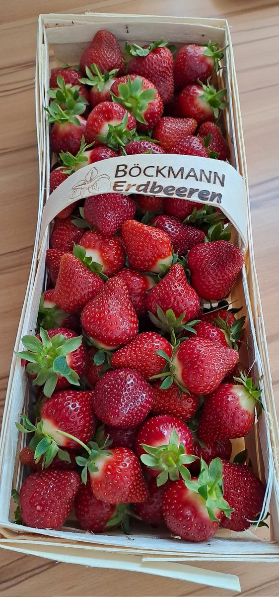 Thomas Reuter tweet media