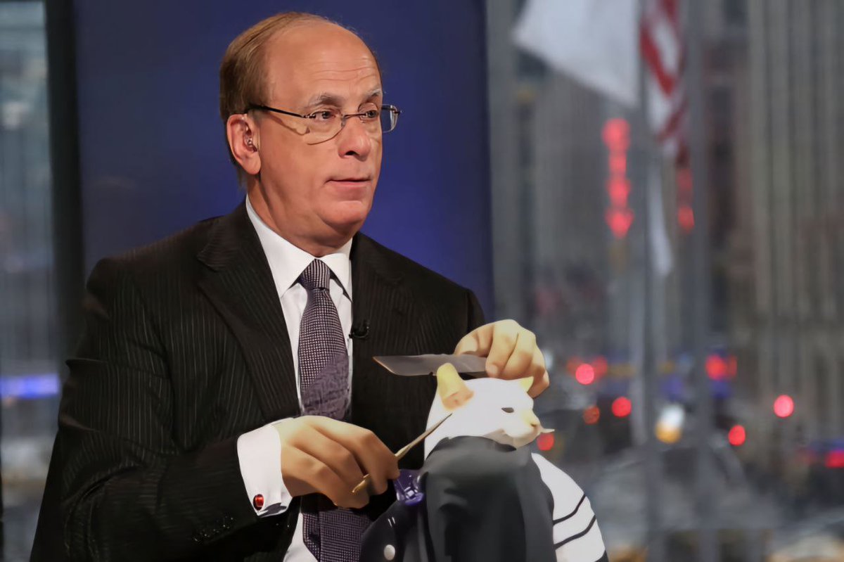 cat getting fade tweet media