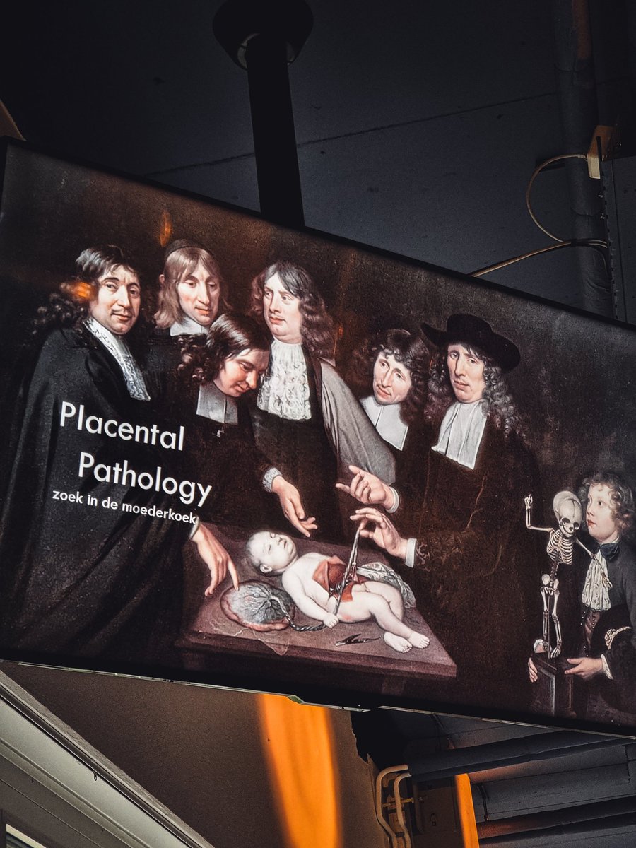MhmdCK7's tweet photo. 1. Just wrapped up an amazing experience at #EPPW 2024 in #Rotterdam! It was my first time representing after attending last year. Grateful for the wonderful "#placenta family"—received valuable feedback and smart suggestions. Looking forward to next year! https://t.co/u0jIUkhUeA