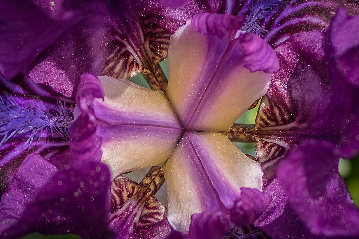 Thedlodius's tweet photo. @admired_art https://t.co/LNzw4WlLcS