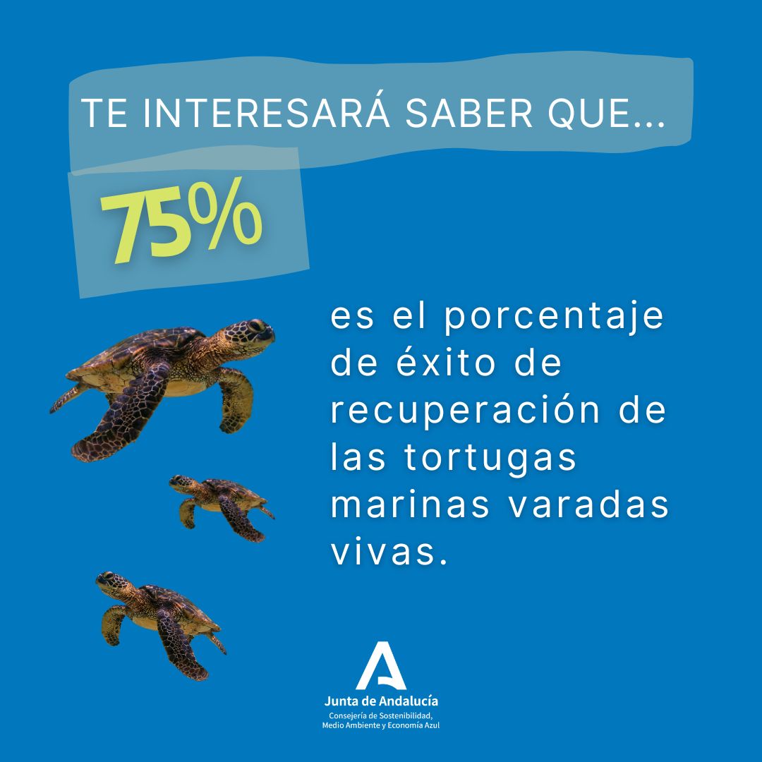Consejería de Sostenibilidad y Medio Ambiente tweet media