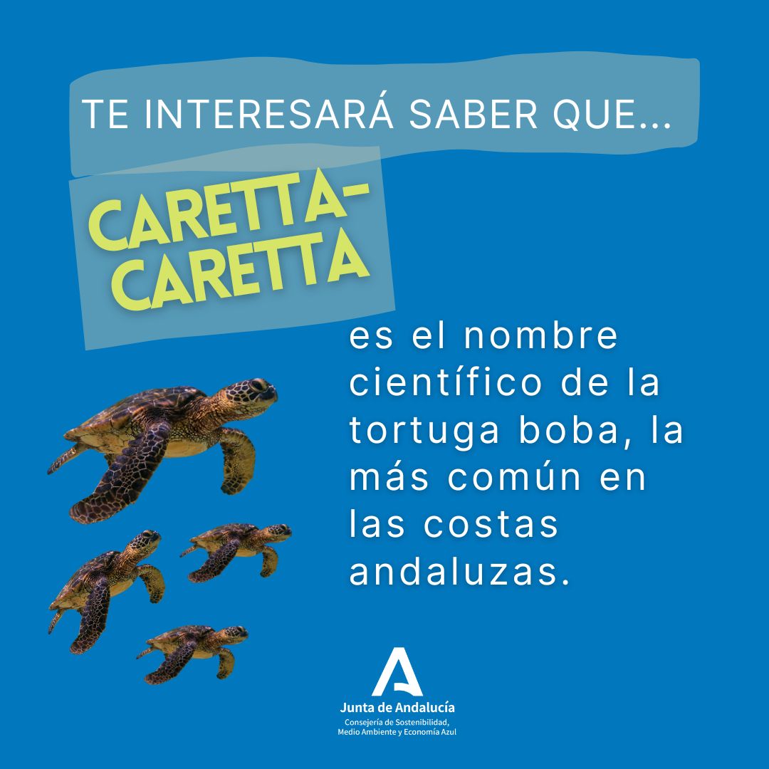 Consejería de Sostenibilidad y Medio Ambiente tweet media