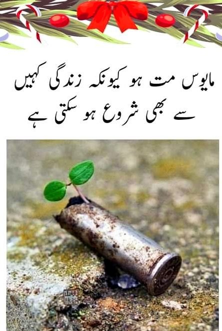 Muhammad Umair (@umair5055) / Posts / X