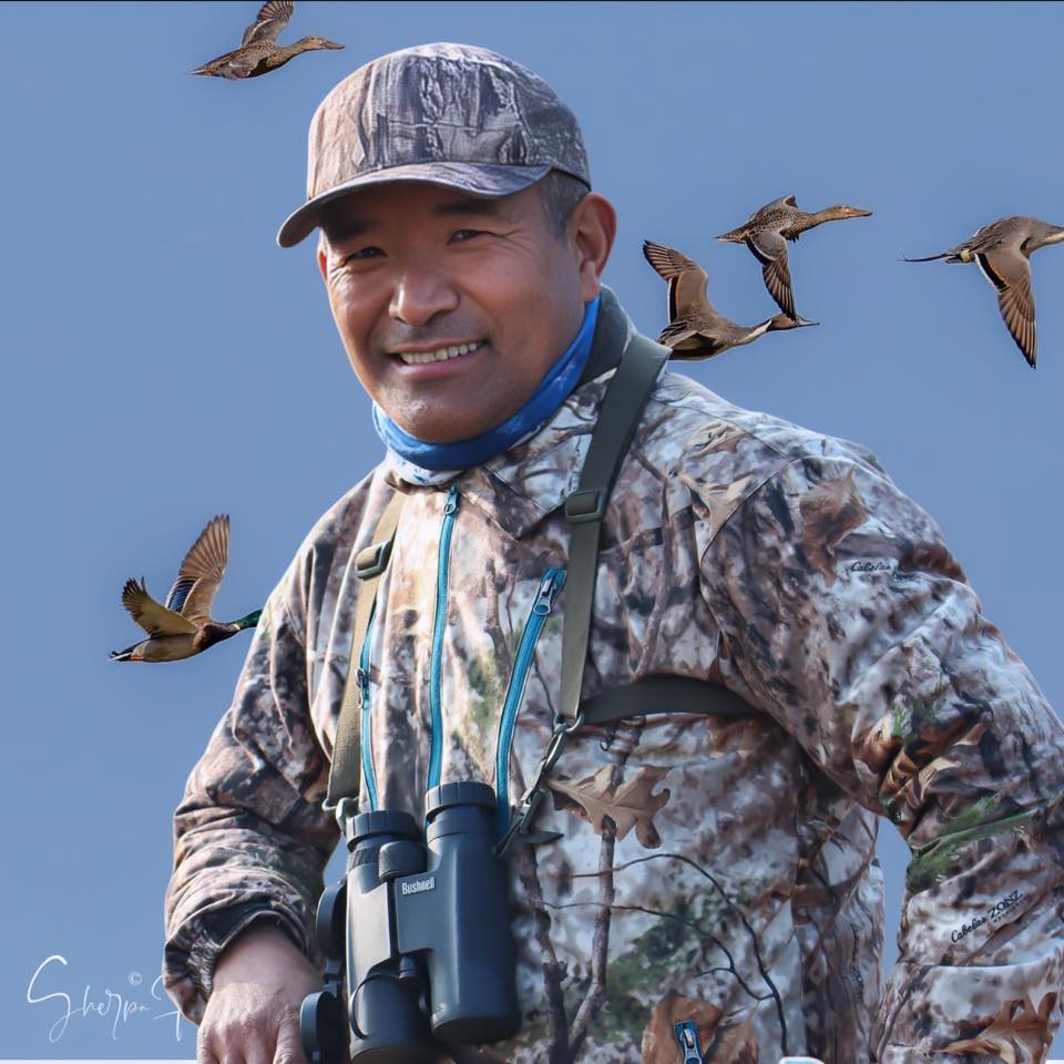 I have known French Pemba Sherpa now for several years. He comes from the highest part of this planet and is 7-time Sagarmatha (=Everest) summiter! I thank Pemba for sharing his excellent wildlife images with me. Pemba is also the VP of <a href="/Nep_Orni_Uni/">Nepalese Ornithological Union</a> based in Kathmandu!