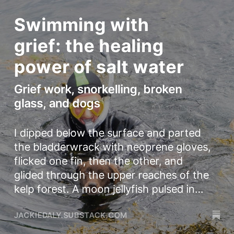 Today’s post: a story of swimming with grief and the healing power of salt water. I reflect on Freud's theory of 'grief work' and the newer ‘continuing bonds’ theory, and roam through memories, landscapes and seascapes. open.substack.com/pub/jackiedaly…