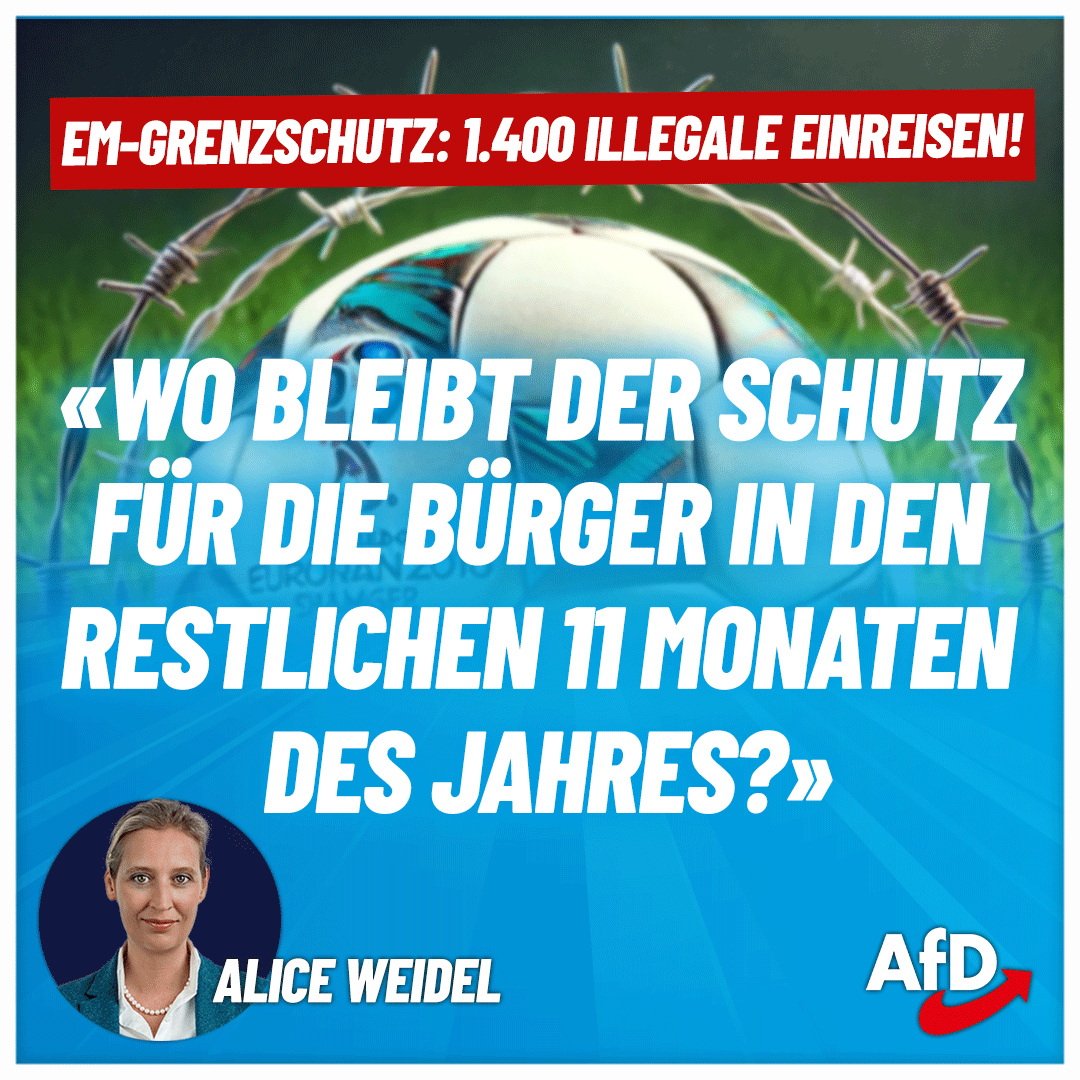 Alice Weidel tweet media