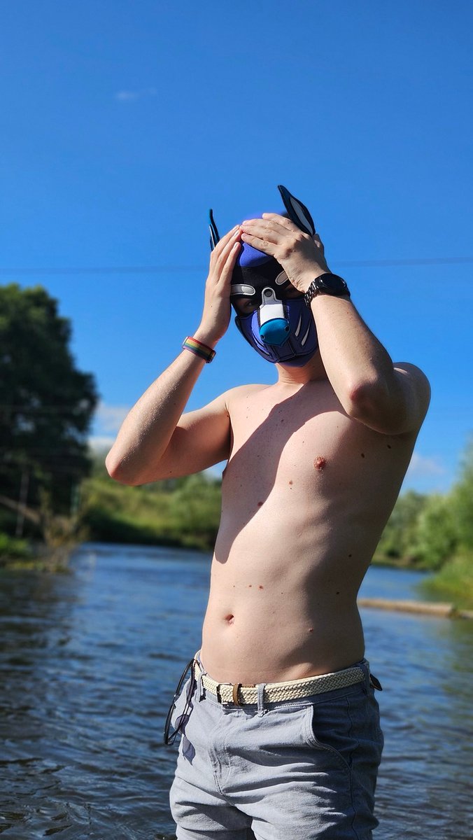 wavee 🐾 tweet media