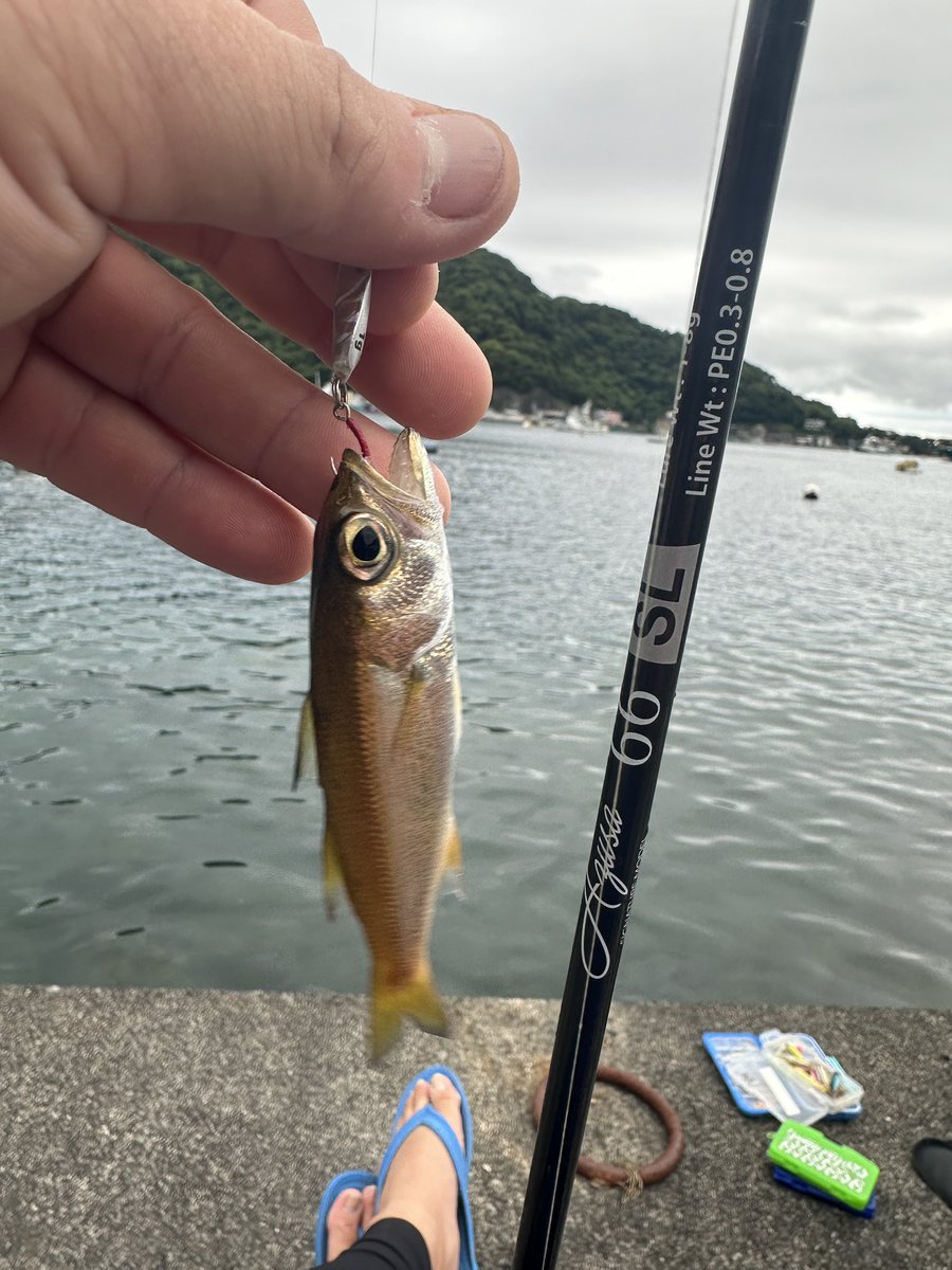 のんびり釣行素敵です?✨ Azusa66sl使用ありがとうございます?