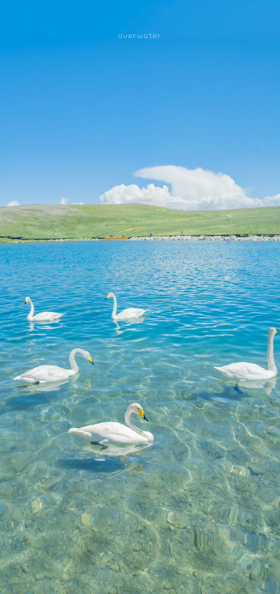 yuelet0217's tweet photo. 新疆的夏天，每一张每一帧；真的是太美了。#新疆；#风景 https://t.co/ldXjSWdhov
