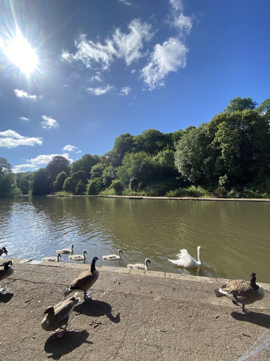 Jane Guy tweet media