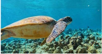 PIB India tweet media