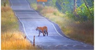 PIB India tweet media