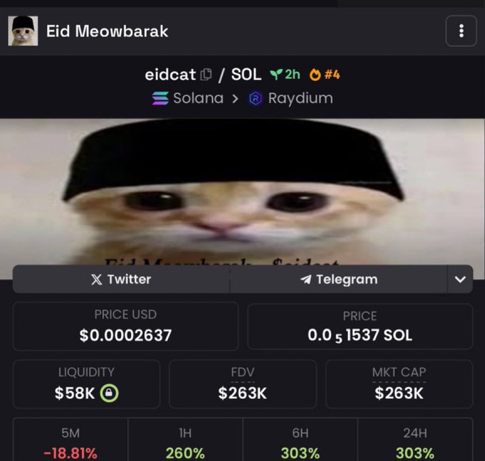 Meow Barak tweet media