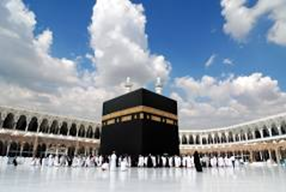 Birmingham Community Nutrition tweet media