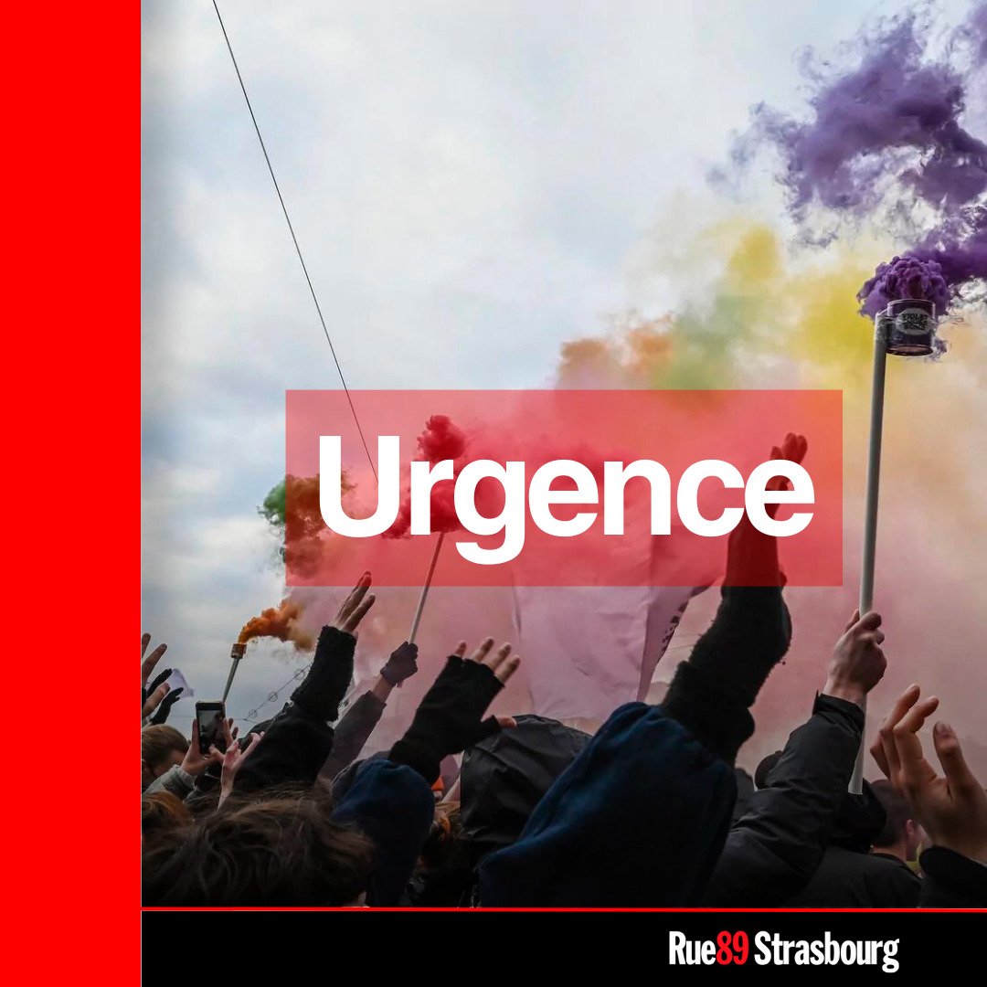 Guillaume Krempp tweet media