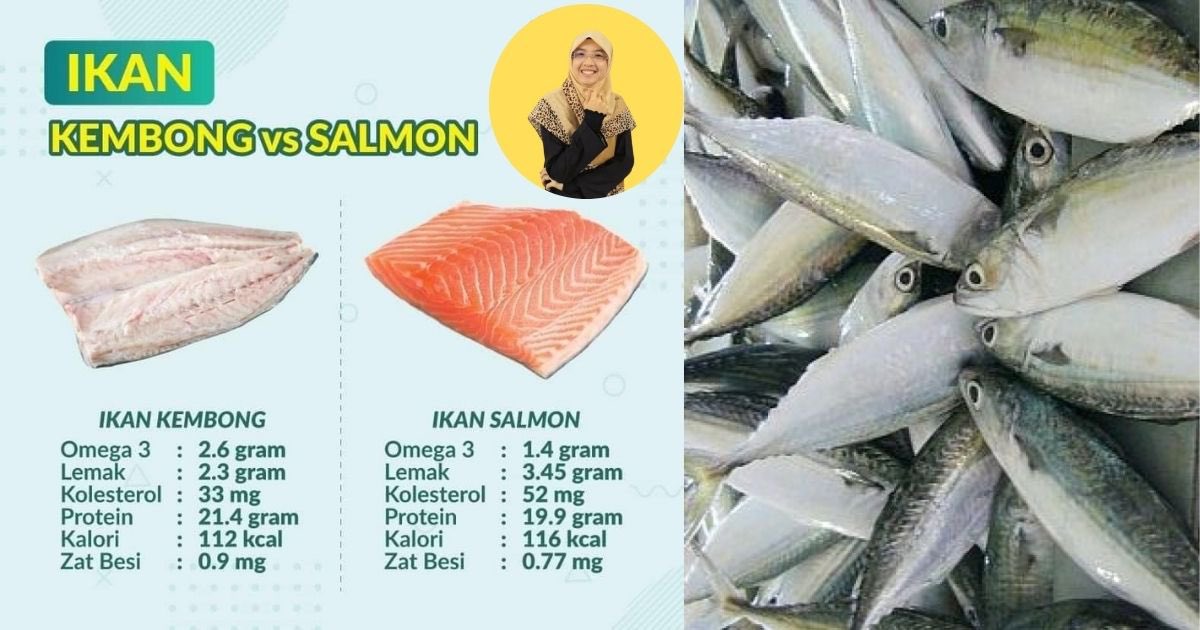 sarinizainal's tweet photo. Ikan Kembong ftw 🙌🏼 

Pernah dengar podcast yg cakap ikan kembung lebih baik &amp; mampu milik berbanding Salmon.

Belum cerita lagi bab ulam dengan buah, mmg kalah sumber barat tu. https://t.co/Wq7MCjjzQR