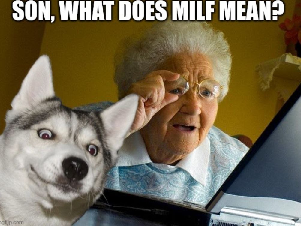 HuskyAlbert's tweet photo. "Grandma: 'What does MILF mean, dear?'

Albert: sweats nervously 'Uh... Market Insights, Learning Fundamentals!' 😅📈

$ALBERT #solana #solanamemcoin #memecoin https://t.co/358RoHJrHL