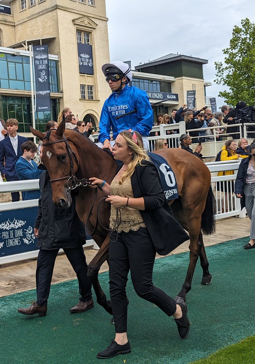 seenthestars's tweet photo. Prix de Diane @LonginesEq
#Tamfana #DareToDream #RocknSwing #Candala
@RacingPost
@rpbloodstock https://t.co/J5pnLQs0R0