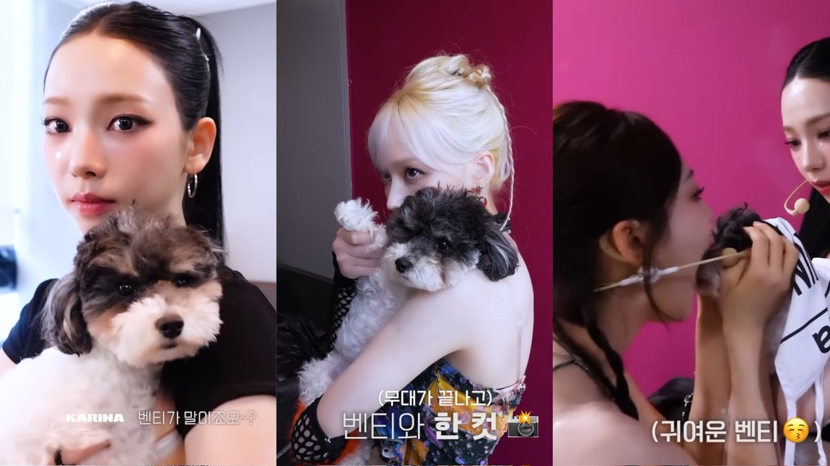 winteraphy's tweet photo. How Venty (the puppy's name) is treated by different members https://t.co/3Mx6LenqOK