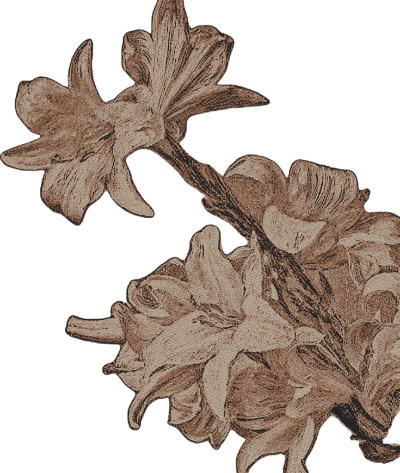 welectraheart's tweet image. 