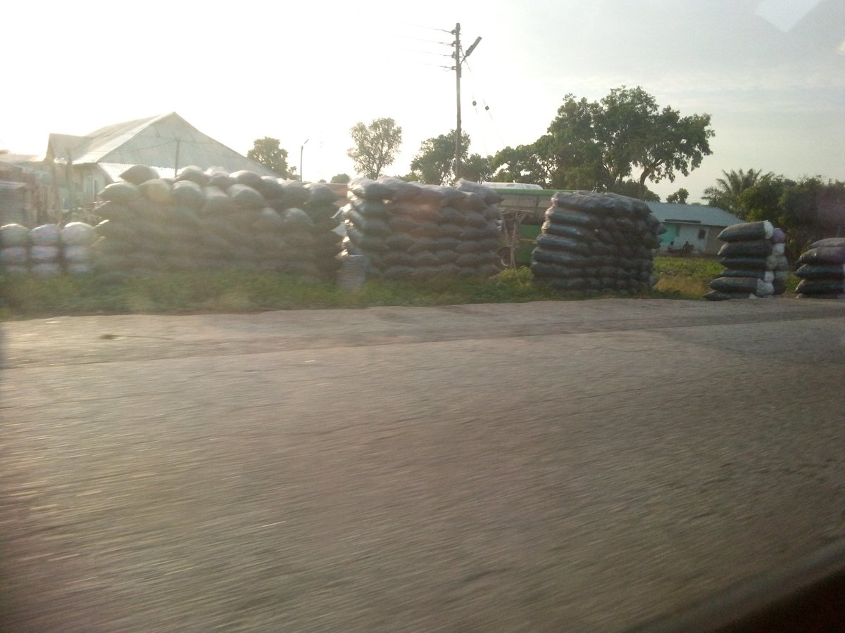 IddrisuLateeph's tweet image. Charcoal burning is the silent killer of our planet. Every stick represents a tree fallen and a climate future. The smoke we see is just a hint of the devastation we can't see, lost biodiversity, degraded soil, and a warming world. Let's break the cycle of destruction.
#GoAdapt✊