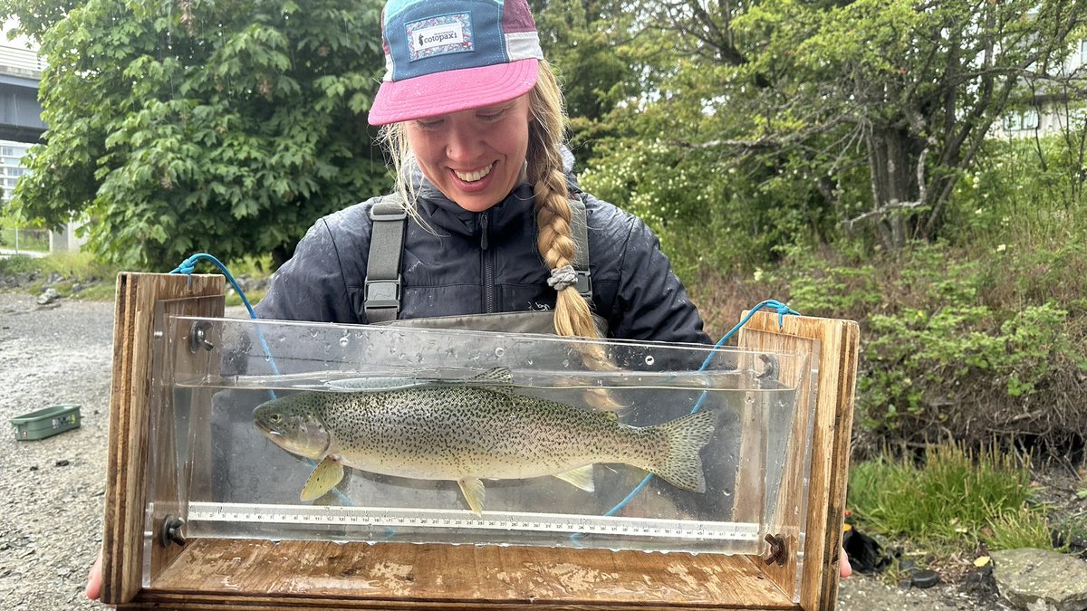 James P. Losee (@coastalcutthro1) on Twitter photo Feeling energized after an amazing #trout collaboration with <a href="/PenStreams/">Peninsula Streams and Shorelines</a> tracking #cutthroat in downtown #victoria B.C! We are excited to see what these urban #Seatrout tell us about recent restoration proj. in the harbor and how their movements compare to those in pristine env Feeling energized after an amazing #trout collaboration with <a href="/PenStreams/">Peninsula Streams and Shorelines</a> tracking #cutthroat in downtown #victoria B.C! We are excited to see what these urban #Seatrout tell us about recent restoration proj. in the harbor and how their movements compare to those in pristine env