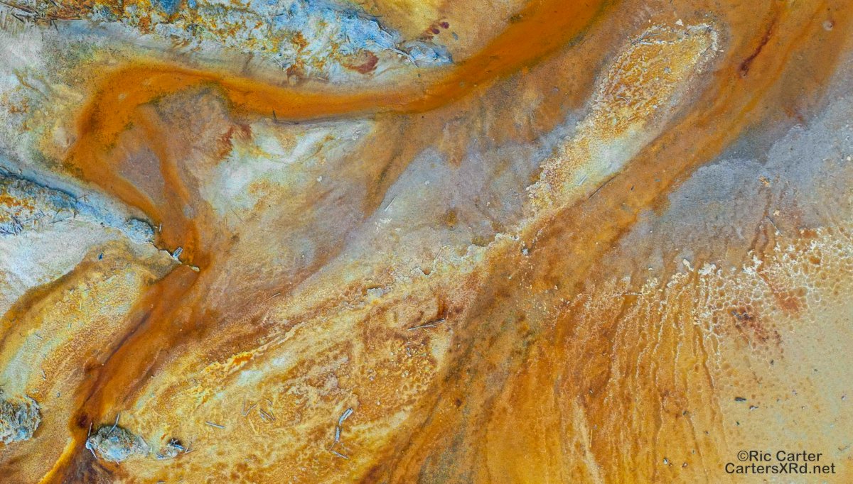 CartersXRd's tweet image. 2024.cartersxrd.net/2024.05.16.html