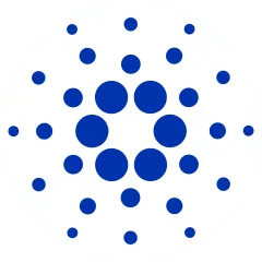 King Alex tweet media