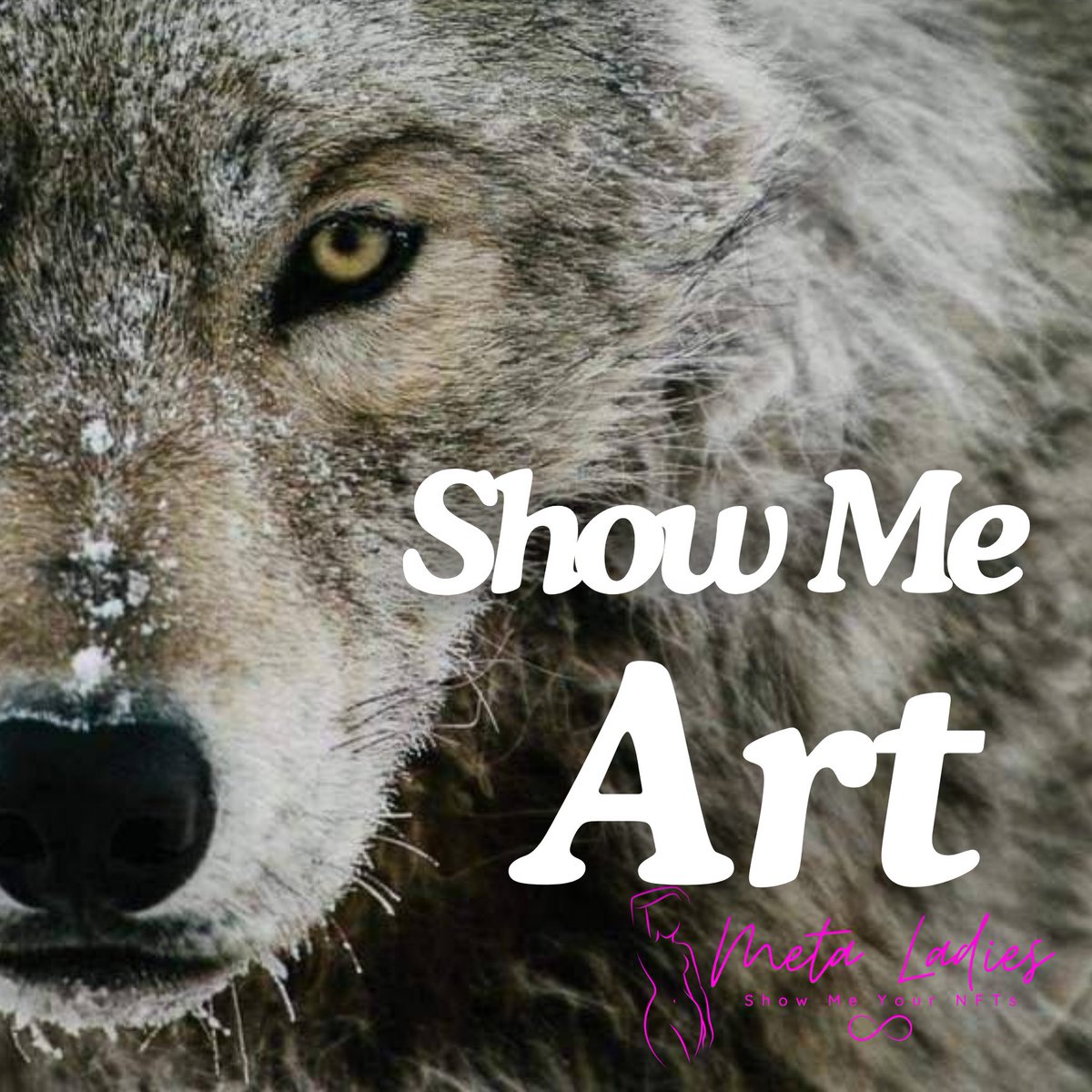 MetaLadies tweet media