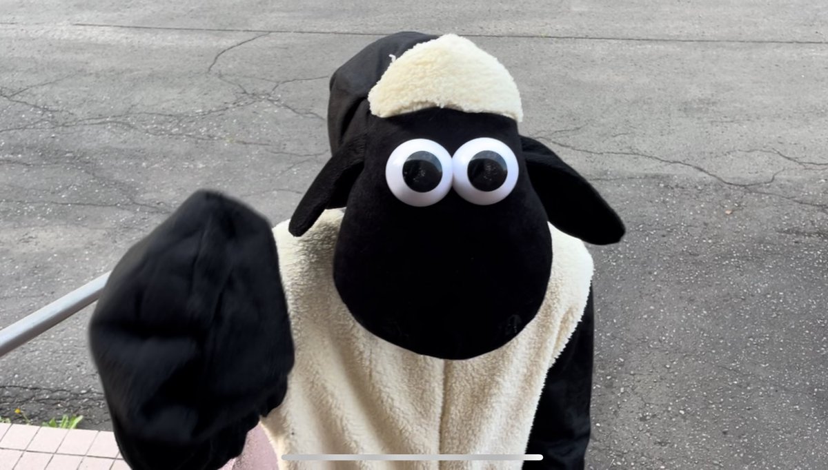 北大の羊には、北大農場で生まれた先天的な羊と、入学試験を経た後天的