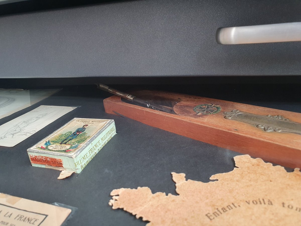 Dr Julia Ribeiro Thomaz tweet media