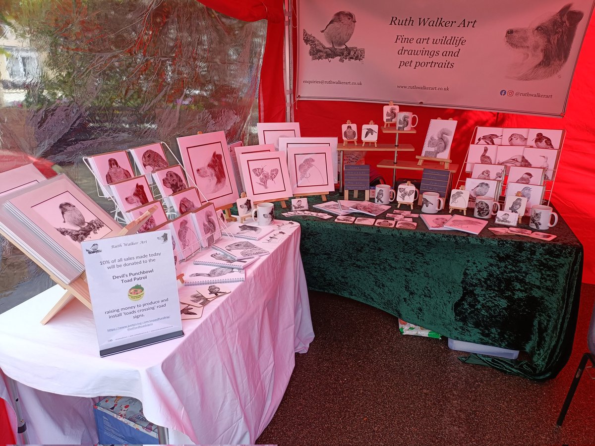 All set up at the Thetford Big Green Fair. Come and say hello if you're passing - there's lots to see and do, with a full programme of talks and music throughout the day. We're here from 11 until 3 pm. #environment #biggreenfair #thetford #Norfolk
