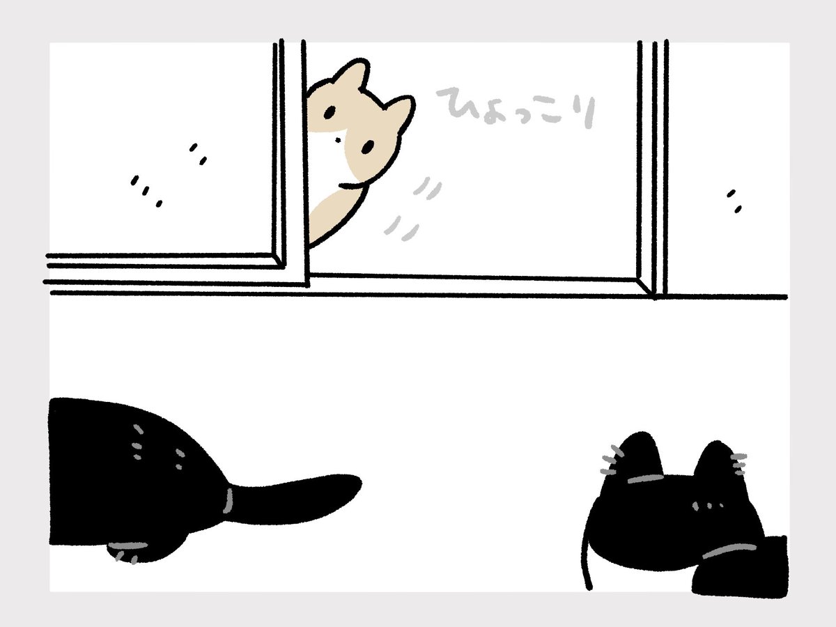 父の日なので、まるで父猫のように信頼されてるろんさんの絵日記(1/2) 