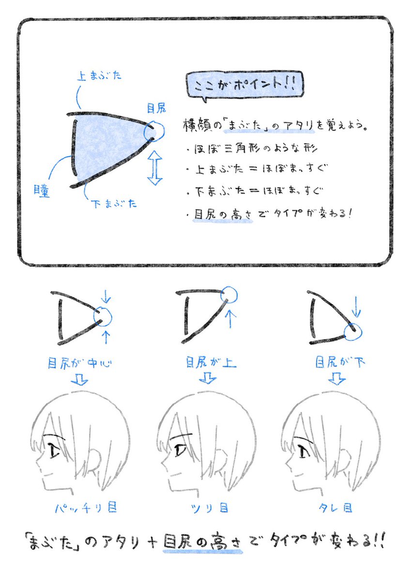横顔の目が苦手な人に知ってほしい知識。
→ https://t.co/5rBcMMwUlo 
