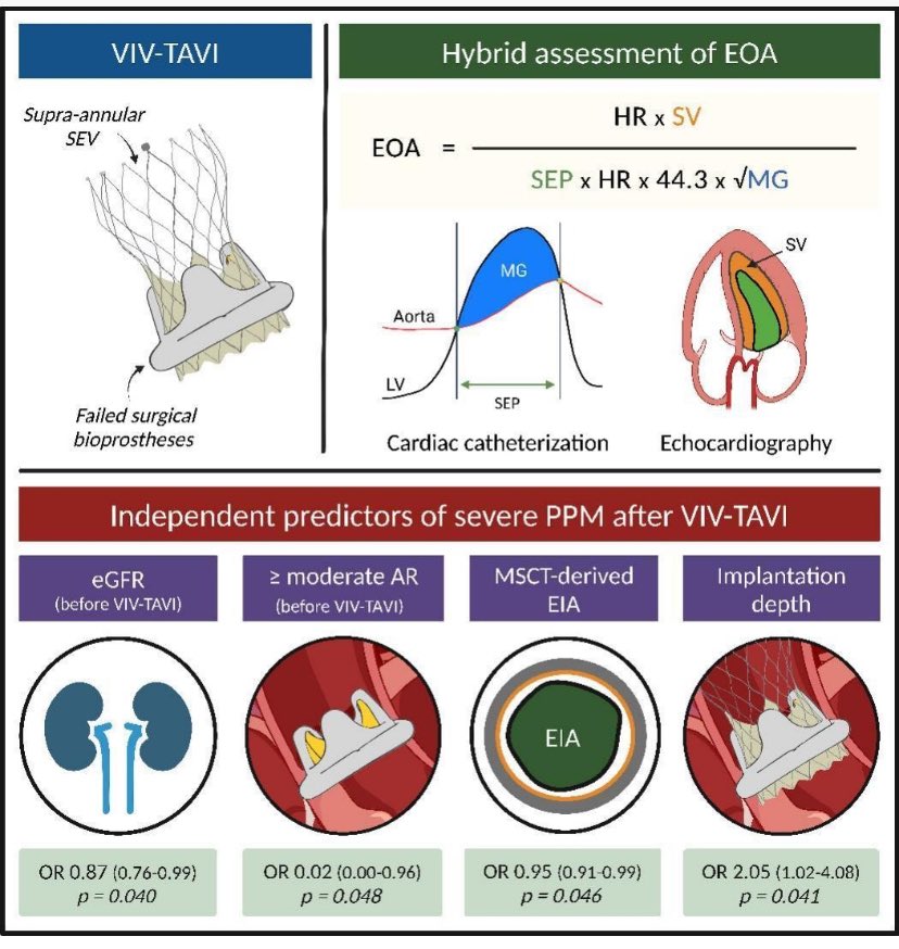BURZOTTA_F's tweet image. Today, we are able to assess the same phenomena with different tools. Patient-prosthesis mismatch estimation is a clinical challenge. This collaborative effort between our  #echofirst and #cathlab teams shows the potential of a #multimodality approach
authors.elsevier.com/a/1jGT05XJLH6e…