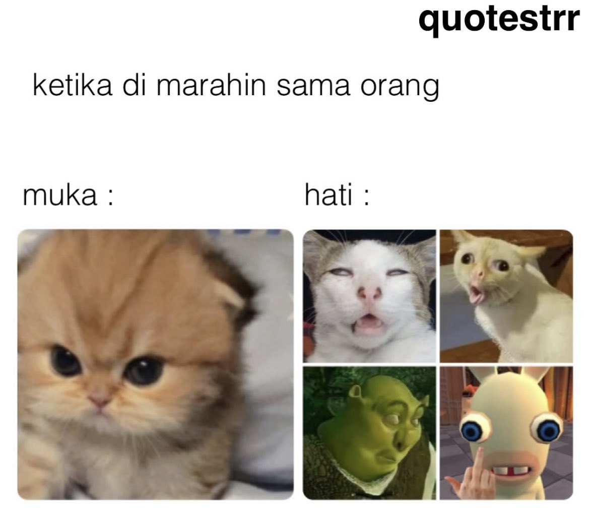 teman_ceritaaa's tweet photo. Siapa yg gini juga? https://t.co/eJNAJDIUIK