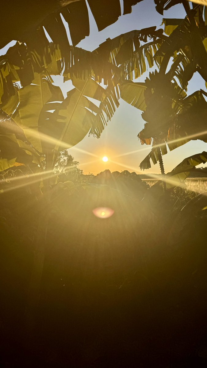 What is the best #NFT platforms currently available to #Artists? 🌅