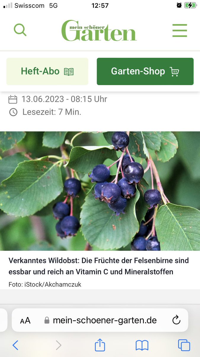 Meret Schneider tweet media