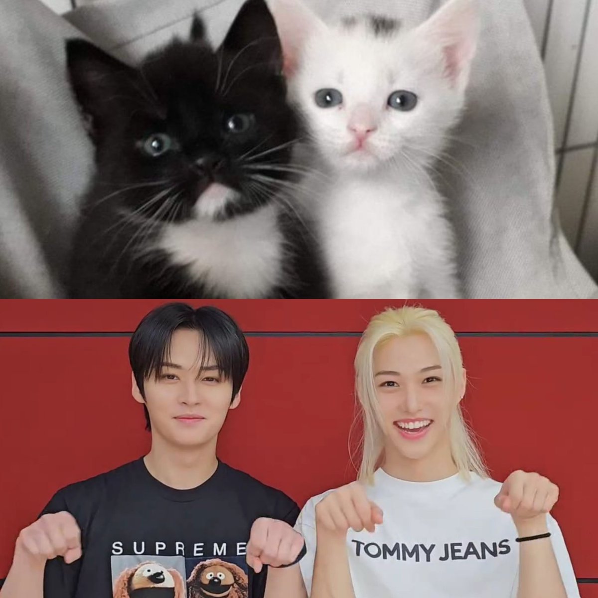 userlinoring's tweet image. ITS THEM