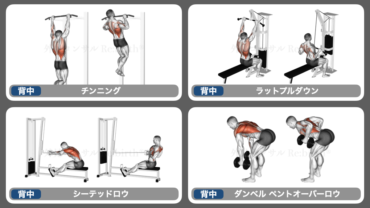 akanukeuniv's tweet photo. 筋トレ初心者はこの画像を持ってジム行きな https://t.co/FGvZ6CGCvO