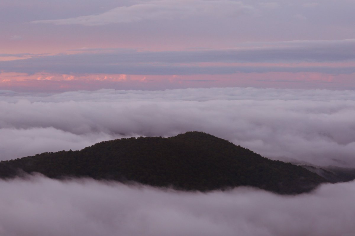 Photography has given me the opportunity to see some breathtaking sights including this inverted sunrise cloud in the Blue Ridge Mountains.

#photographylovers