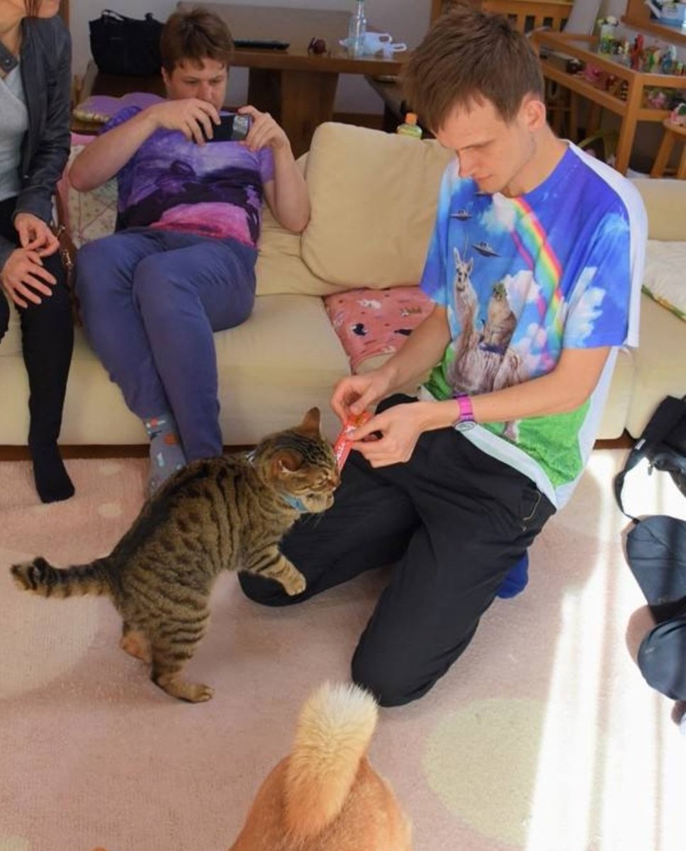tigraeth's tweet photo. Happy Father's Day to all the fathers out there. 

And to my cat father @VitalikButerin 🫶

#ETH $Tigra #Hemule https://t.co/5yXu9lMyaJ