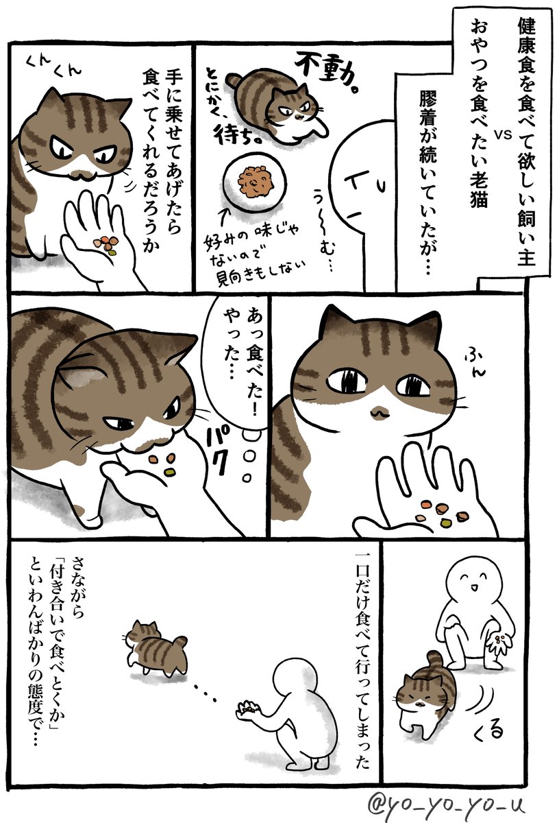 健康食を食べさせたい飼い主 vs わがままなグルメ老猫 
