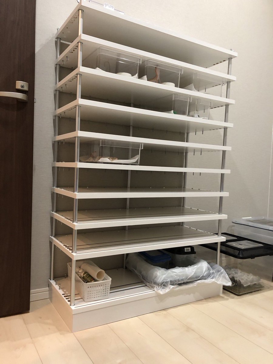 vbp ブリーディングラック