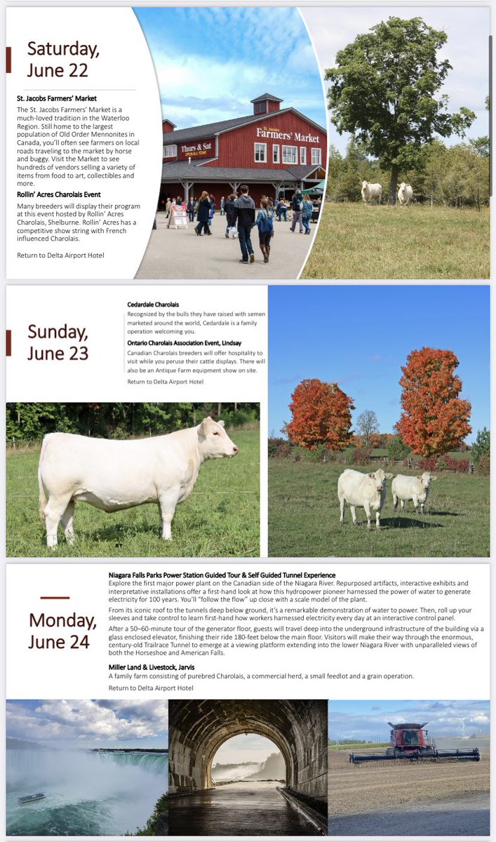 Ontario Charolais tweet media