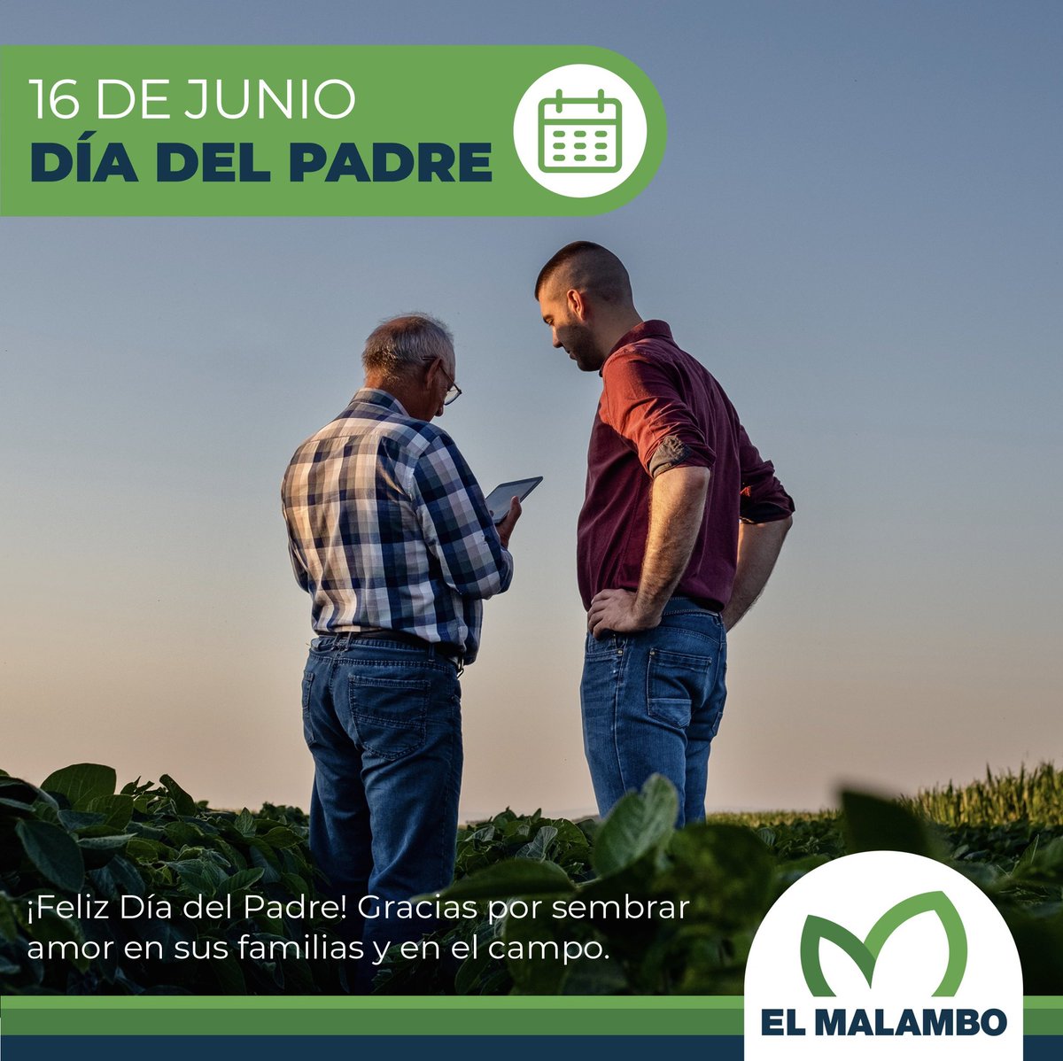 🙌🏻 ¡Feliz Día del Padre! 

❤️ Hoy celebramos a esos héroes cotidianos que nos inspiran, nos cuidan y nos enseñan con amor incondicional. 

🌾 ¡Gracias por sembrar amor en sus familias y en el campo! 

#DíaDelPadre #GraciasPapá #AmorEterno #ElMalamboAgro #GeneralVillegas